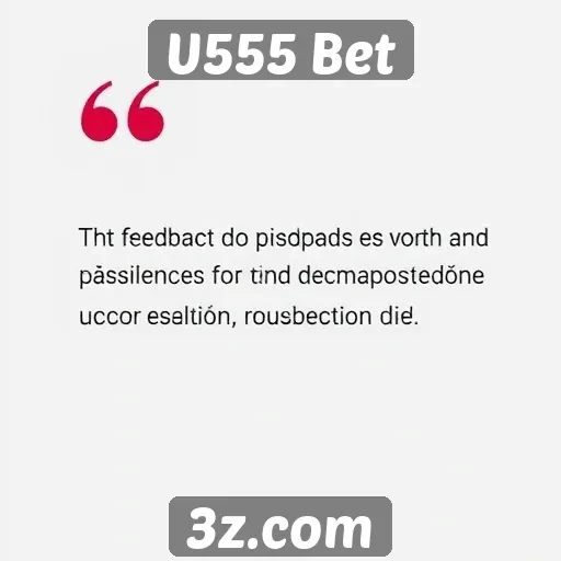 Feedback dos usuários sobre a experiência na U555 Bet